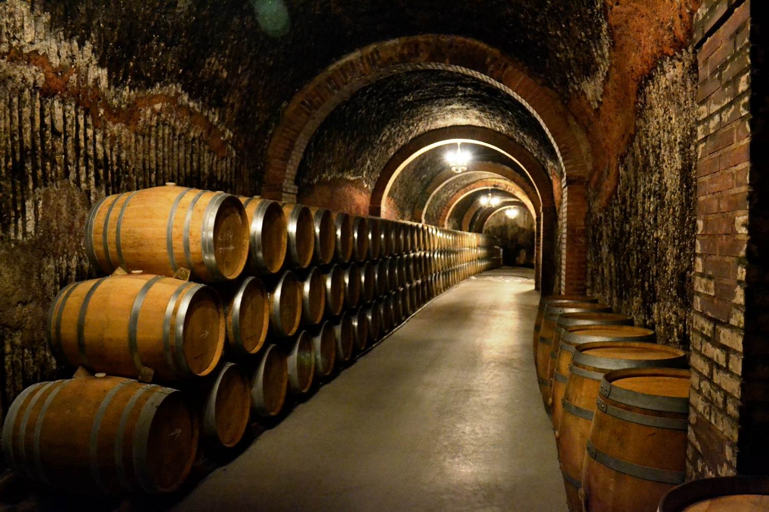 Ribera Duero wine region