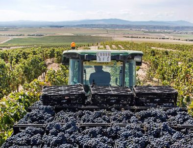 Tractor and wineyards in Navarra