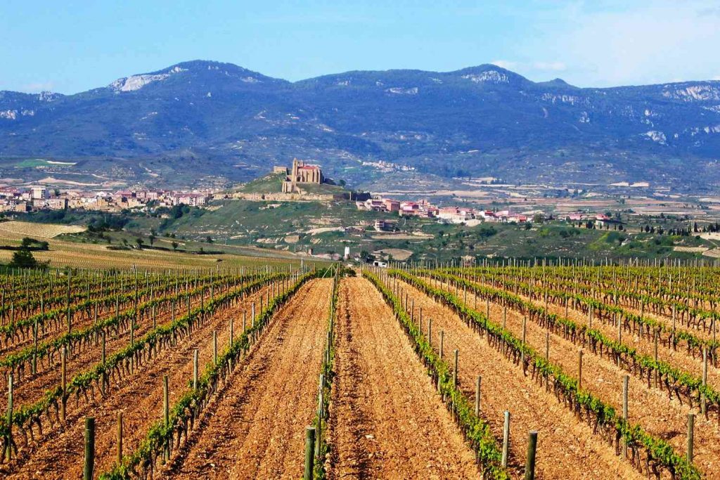 Landscape in Rioja wine region