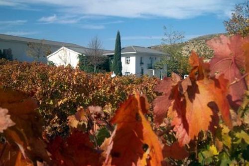 Jilaba winery Rioja