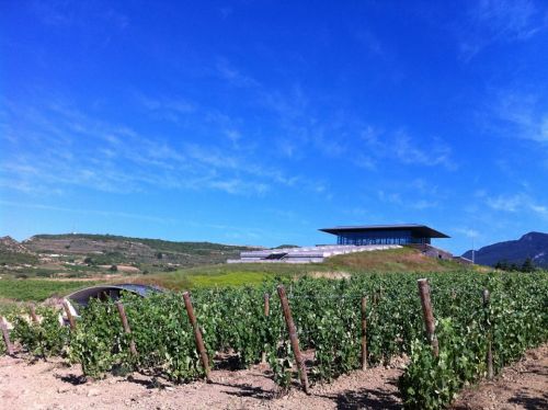Baigorri winery Rioja