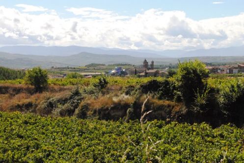 Marques de Riscal winery Rioja