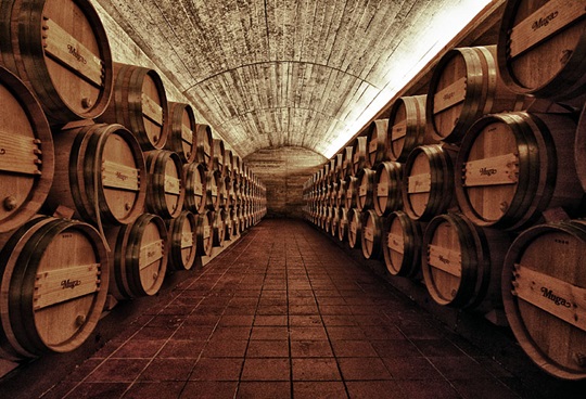 Muga winery Rioja Spain