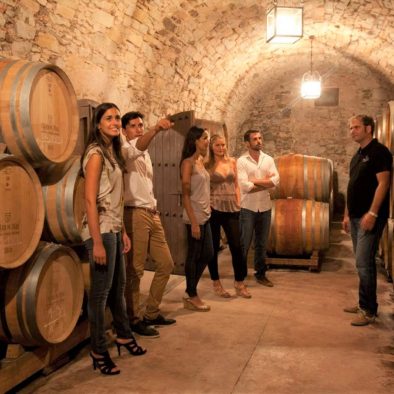 Group enjoying a winery tour near Montserrat
