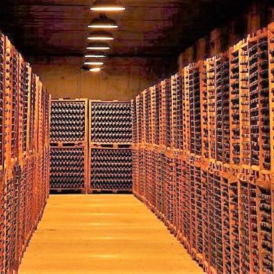 Wine cellar in Rioja