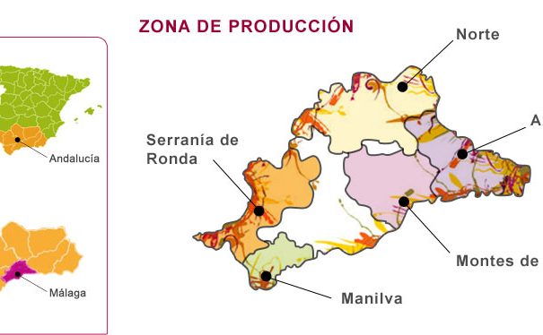 Malaga region wine map