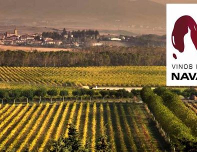 Vineyard landscape in Navarra