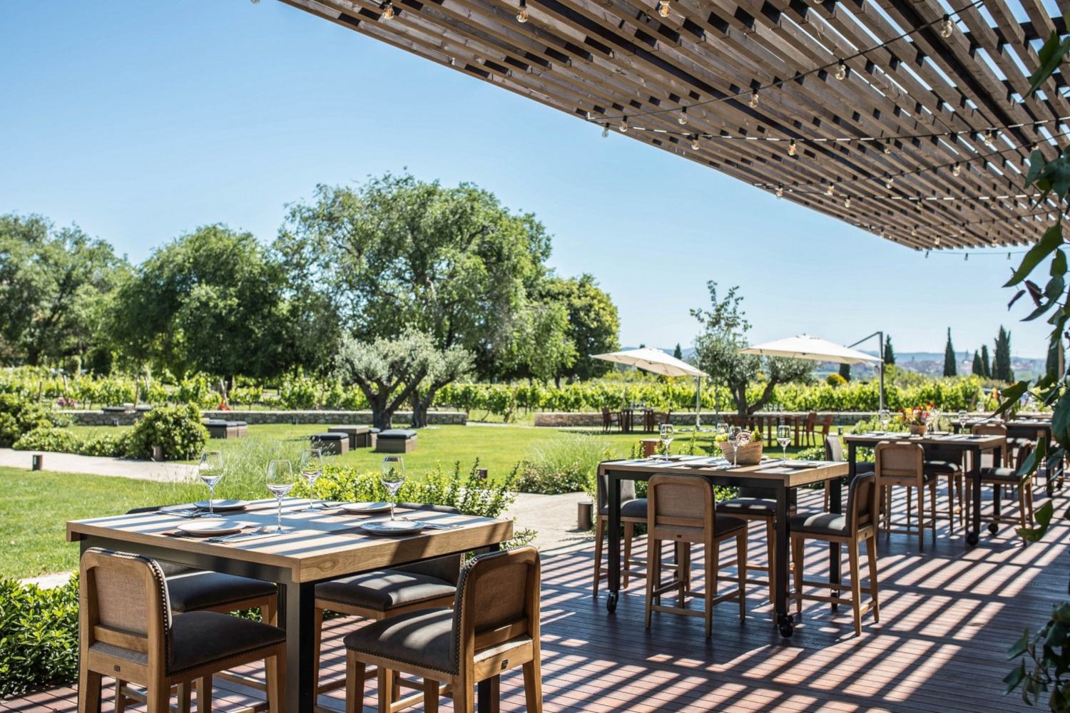 Half Day wine tour Barcelona