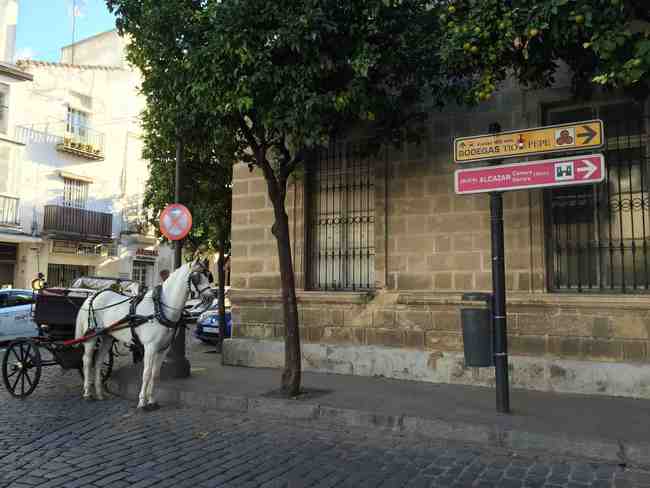 Horse carriage Jerez