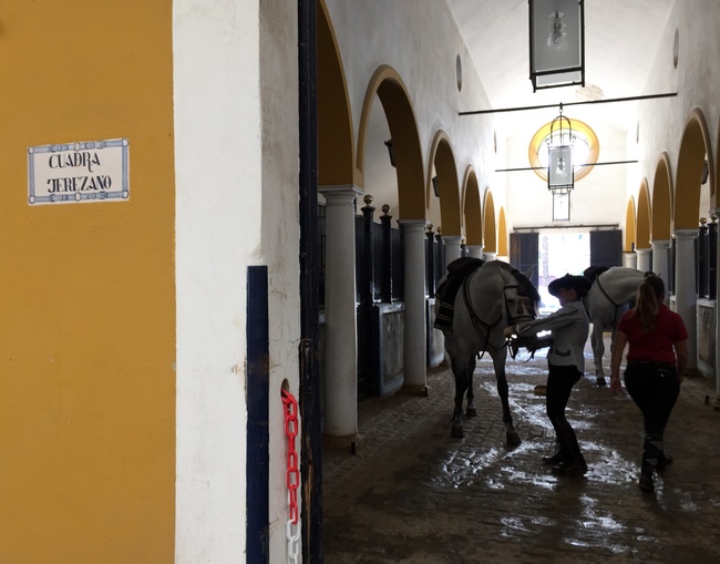 Horse stables in Jerez