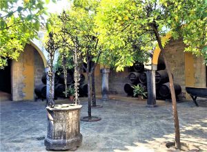 Courtyard in Jerez de la frontera