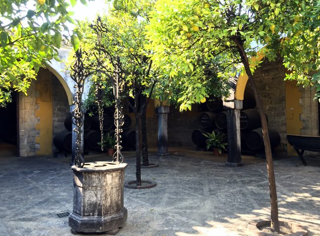 Patio of a winery