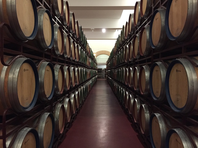 Winery tour barrel room