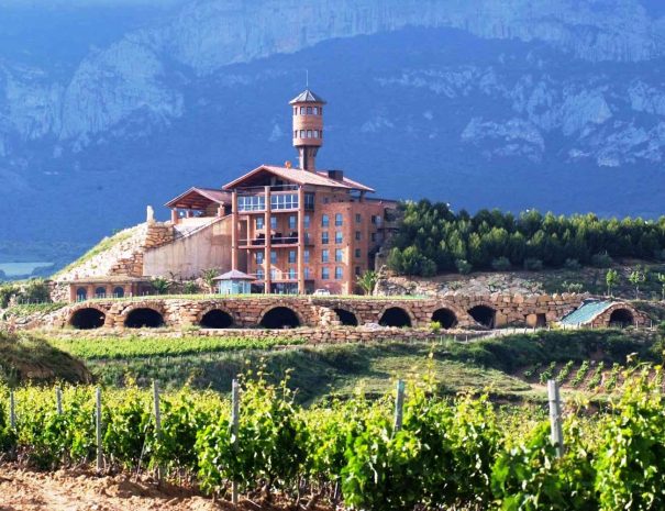 Vineyards next to Eguren Ugarte hotel