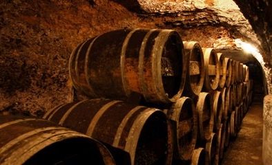 Unground cellar in Ribera del Duero Spain