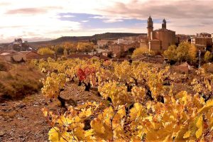 Elciego in Autumn, Rioja Alavesa