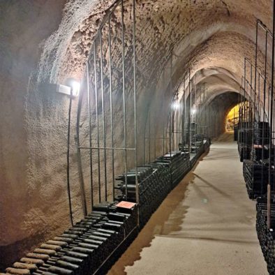 old cellar dedicated to wine againg and wine tasting in Ribera del Duero