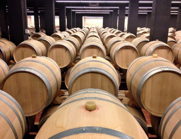 Oak barrels at winery in Ribera del Duero