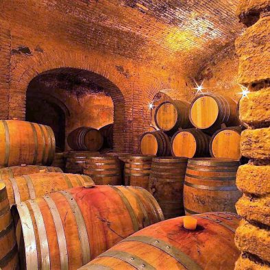 wine cellar in Priorat