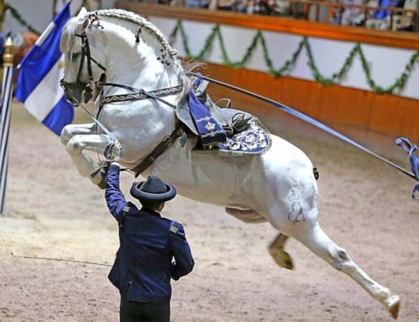Horse jumping during show in Jerez