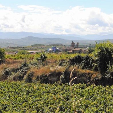 Landscape of Rioja Alvesa