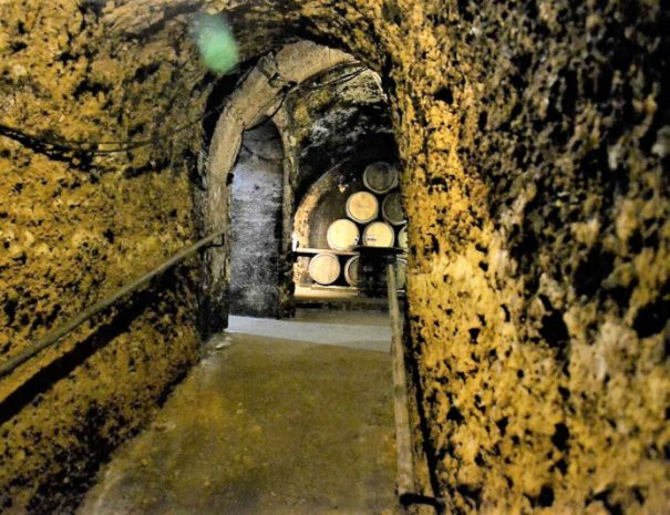 Wine cave in Rioja