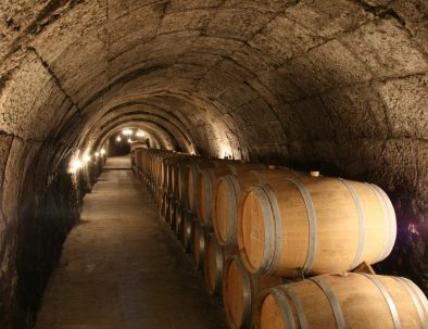 Tunnels in a wine cellar in Ribera del Duero