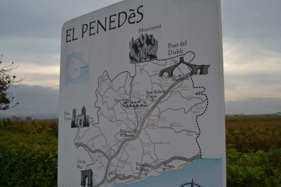 Penedes wine region