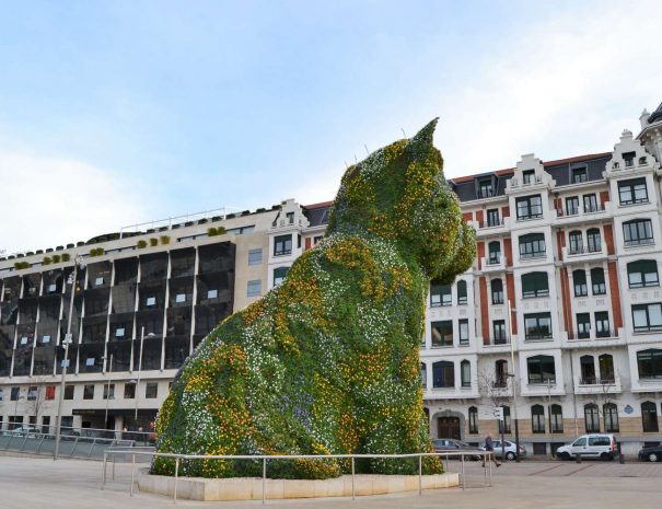Bilbao famous dog