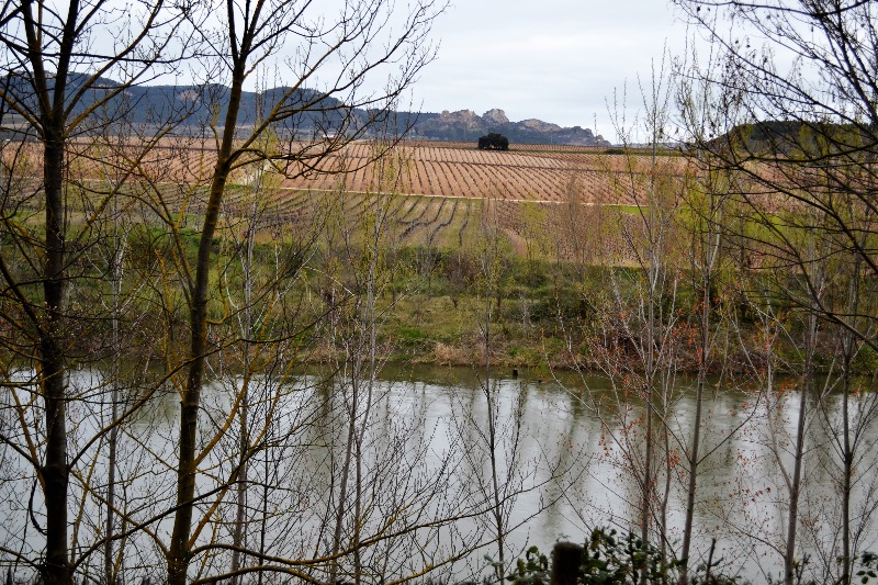 The Ebro river in Rioja