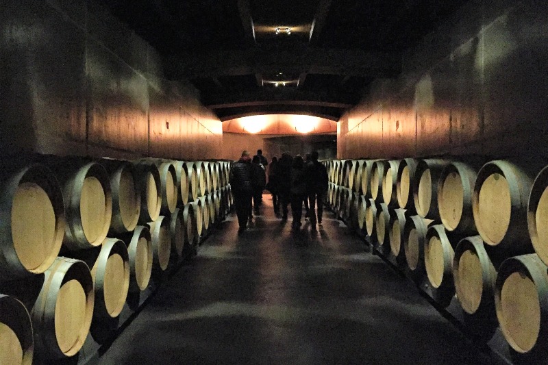 Tourists in Rioja winery