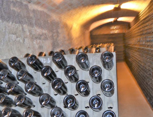 Cava, the most well-known wine from Catalonia