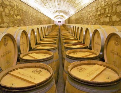 Winery visit from San Sebastian to Barcelona