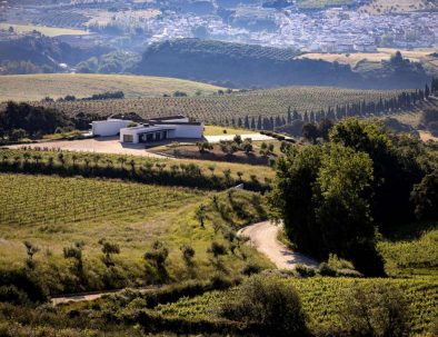 View of wine estate next to Ronda