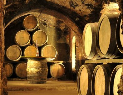 Winey in Laguardia, Rioja Alavesa