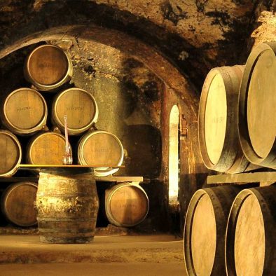 Winey in Laguardia, Rioja Alavesa