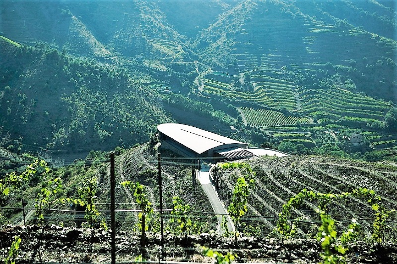 Ferrer Bobet winery Priorat